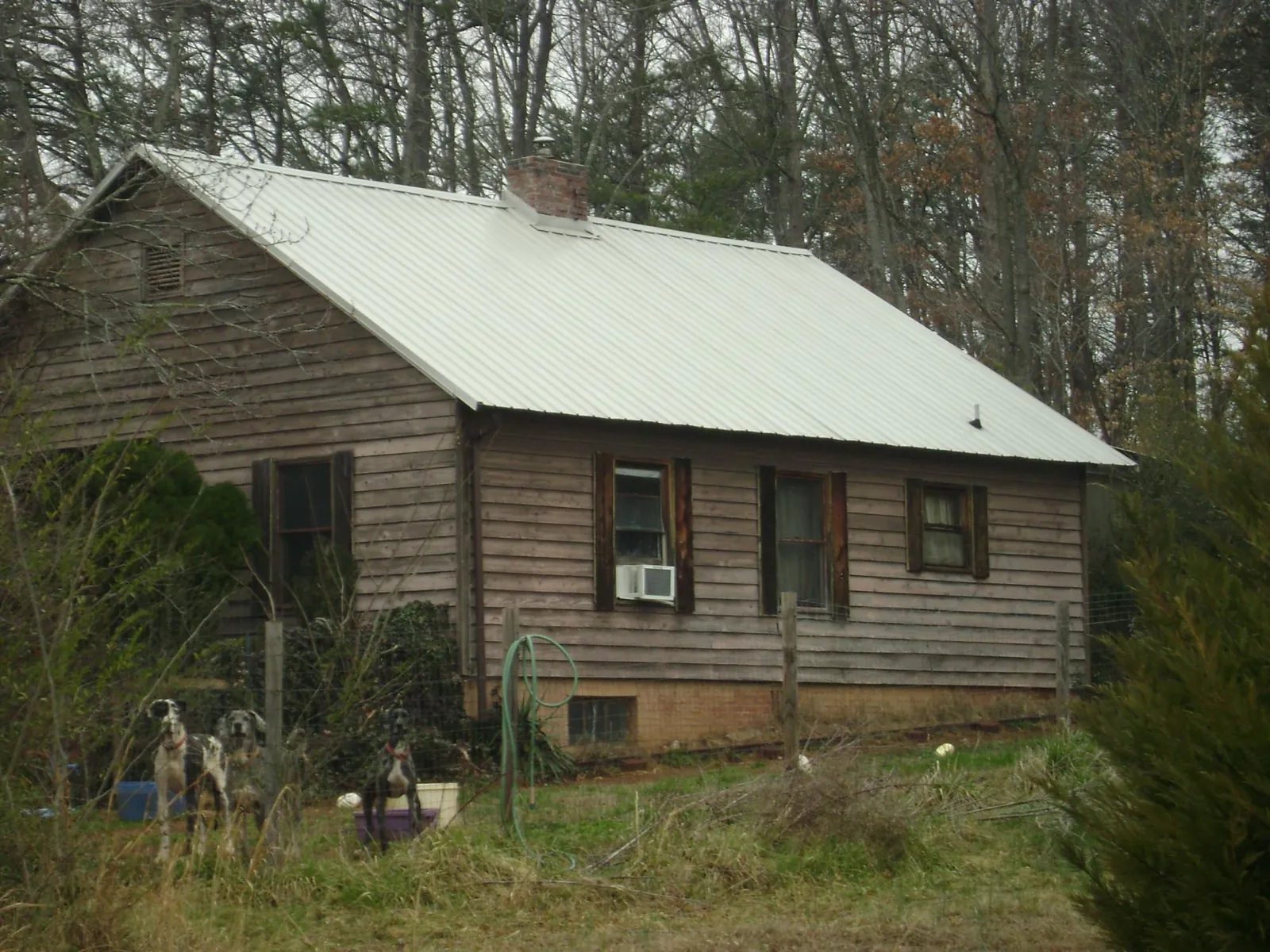White metal roof on an old wood sided farmhouse, from a Asphalt Shingle Roof Repair job in Duff